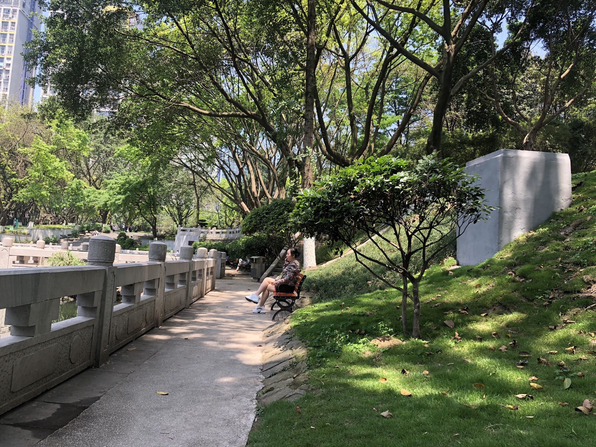 渝高公园旅行图片 2