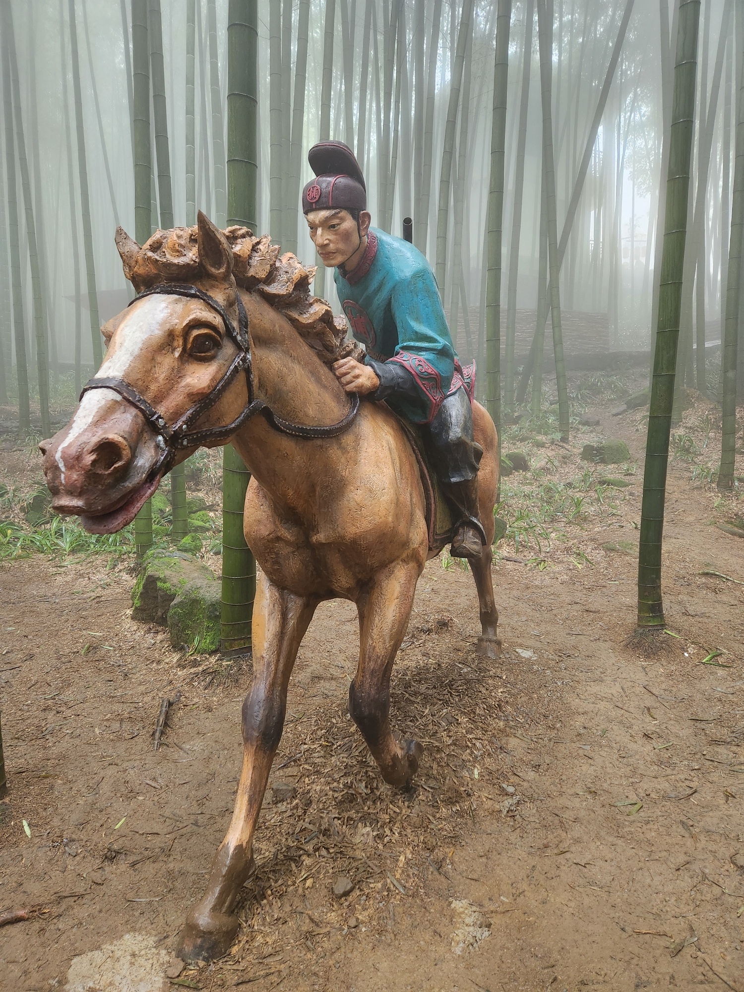 重庆茶山竹海国家森林公园旅行图片 1