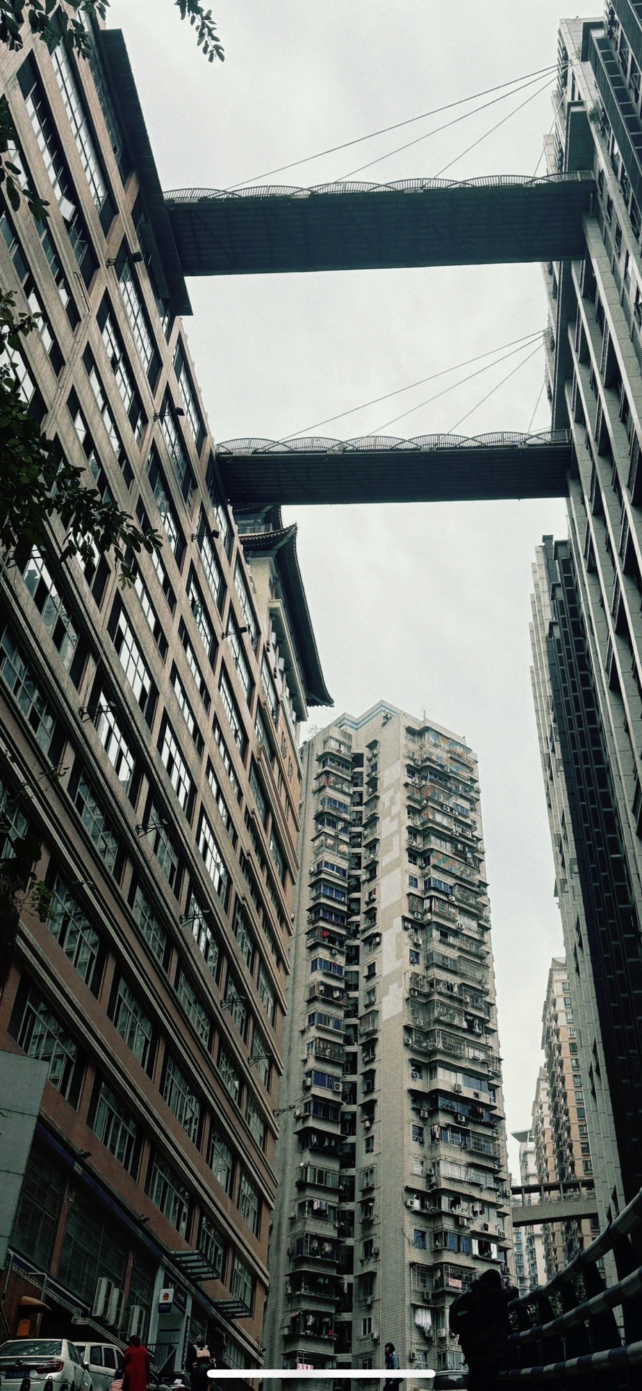 魁星楼旅行图片 3