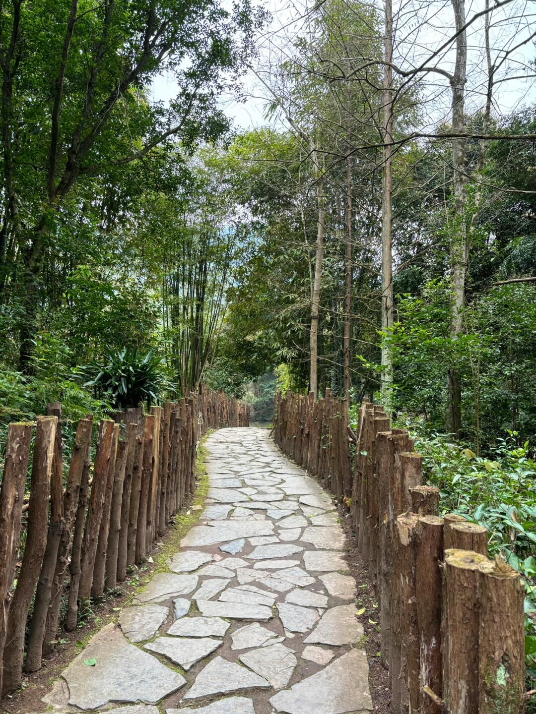 统景风景名胜区旅行图片 3