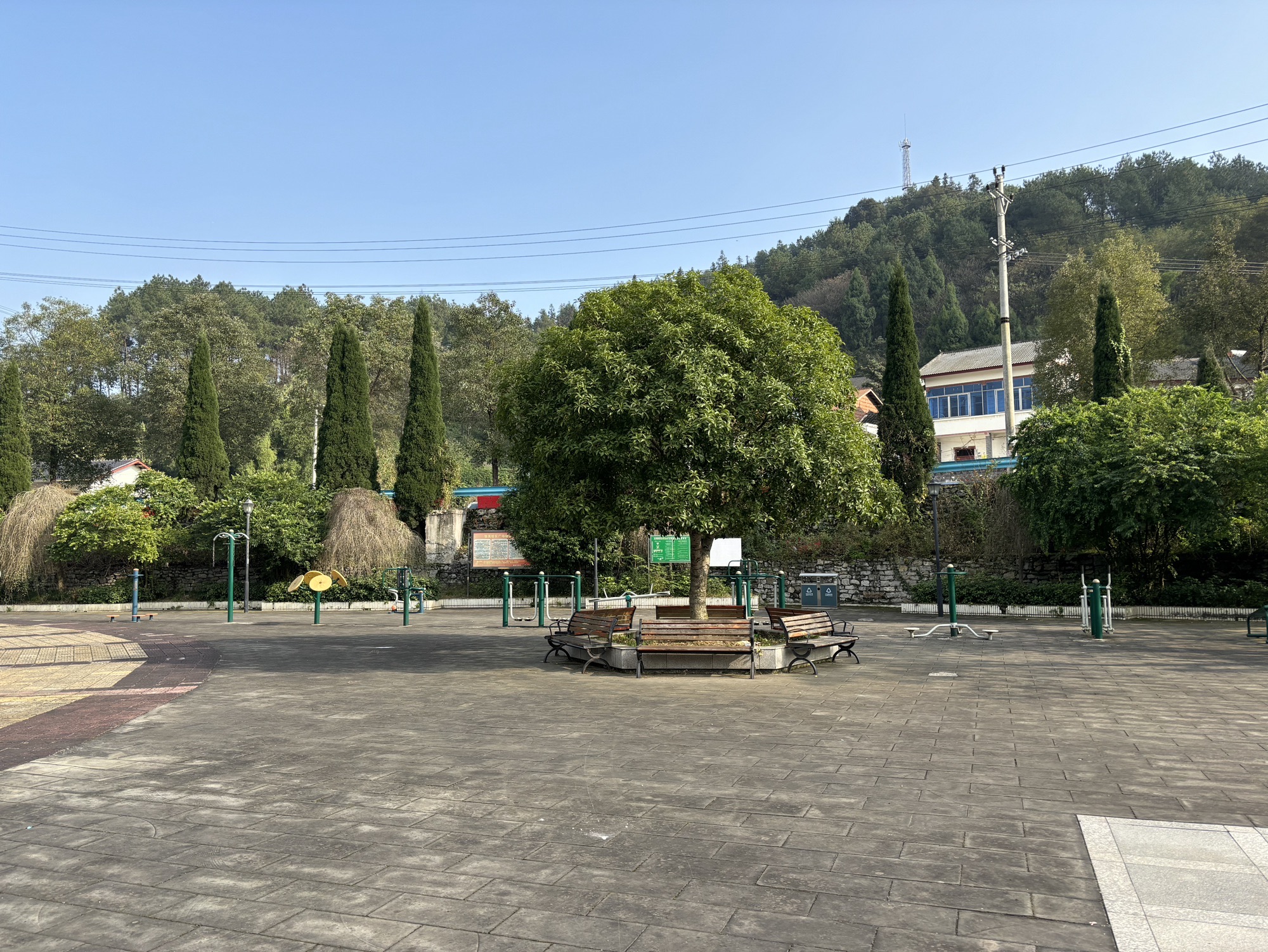 张关广场旅行图片 2