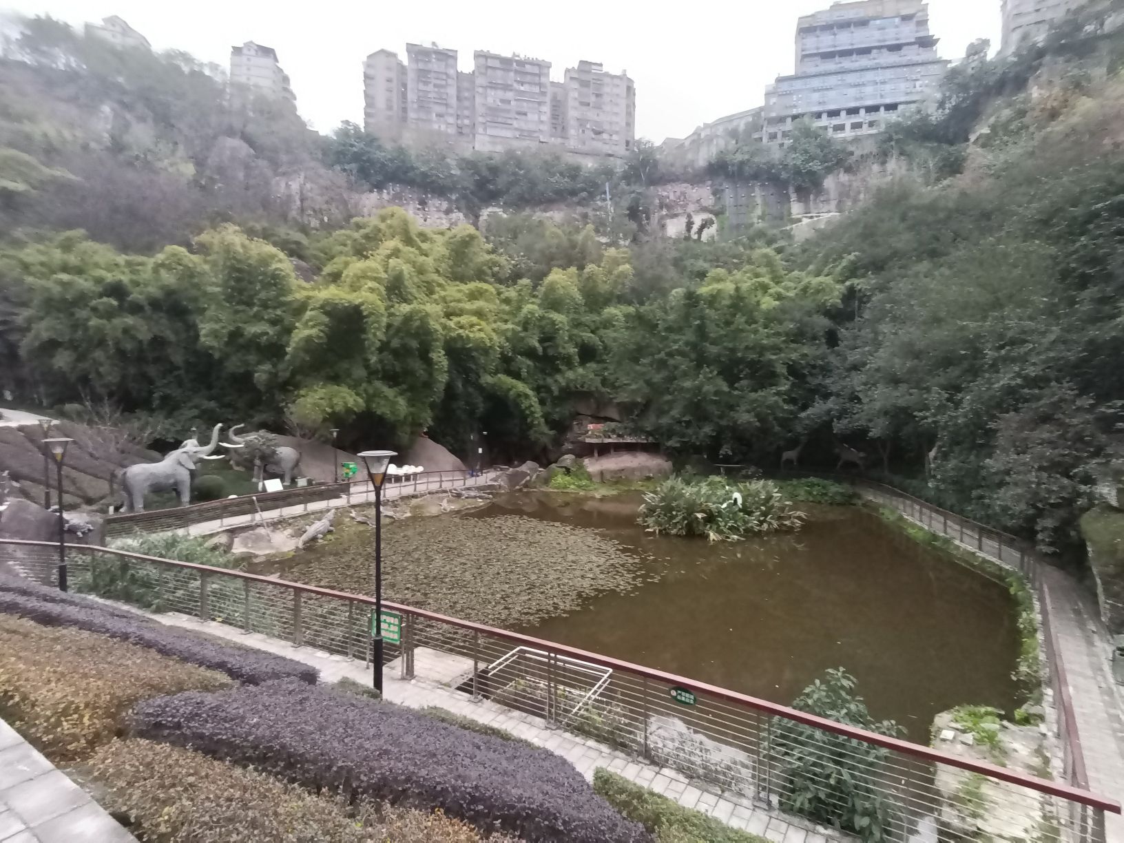 观音公园旅行图片 2