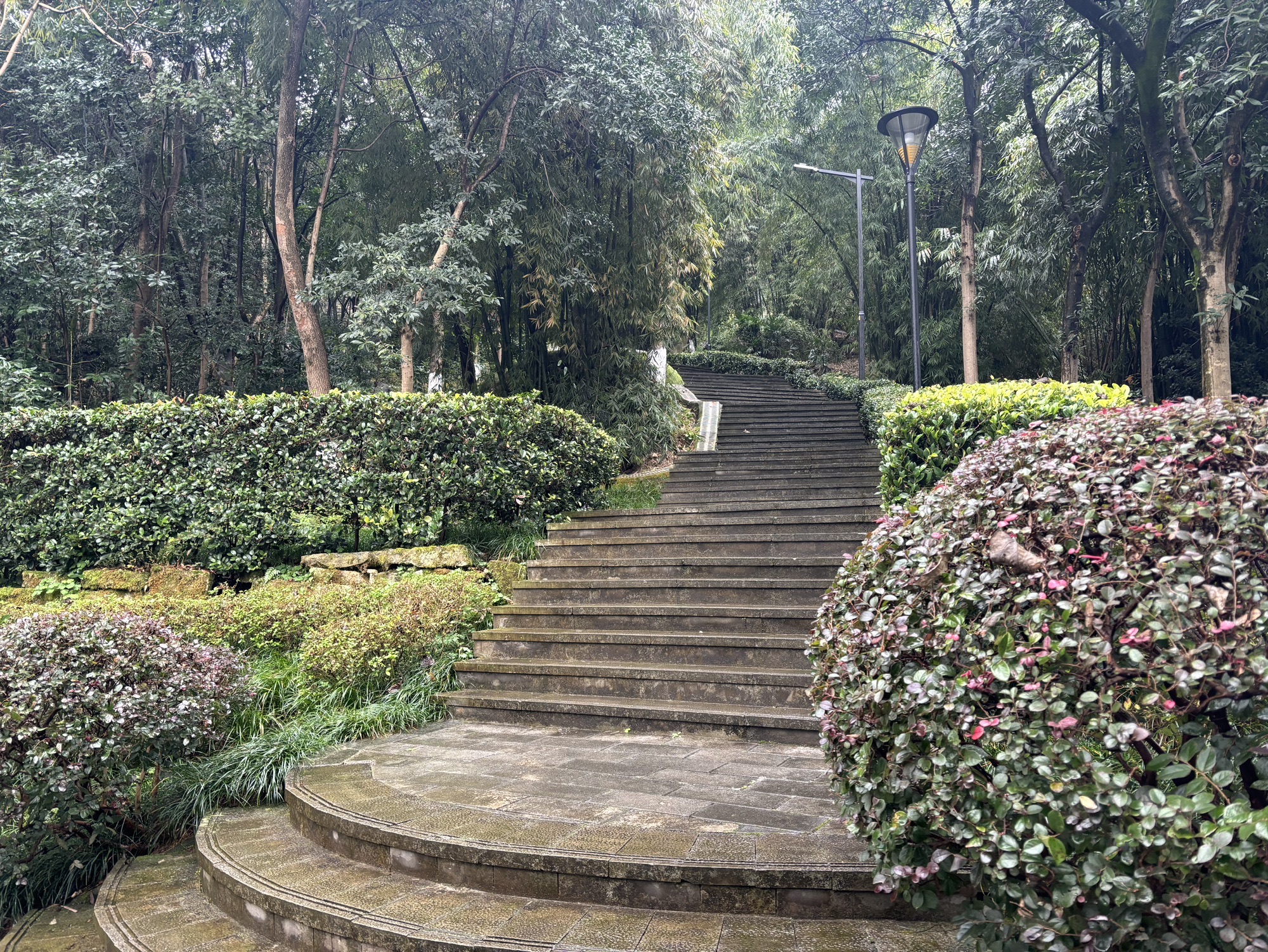 观音公园旅行图片 2