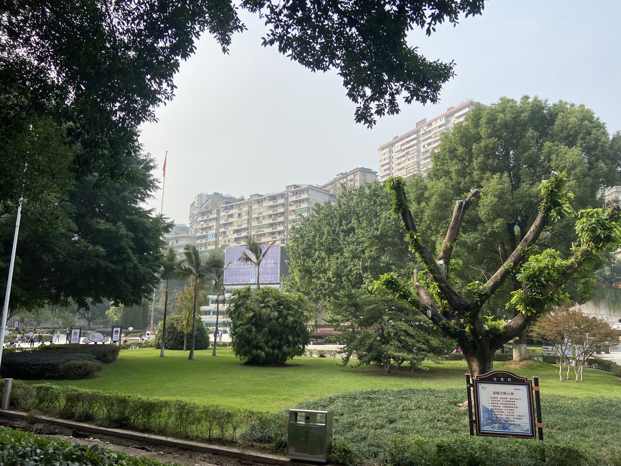 易家坝广场旅行图片 3