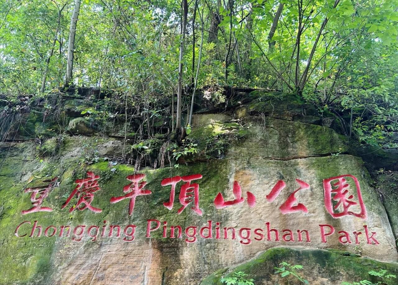 平顶山文化公园旅行图片 1