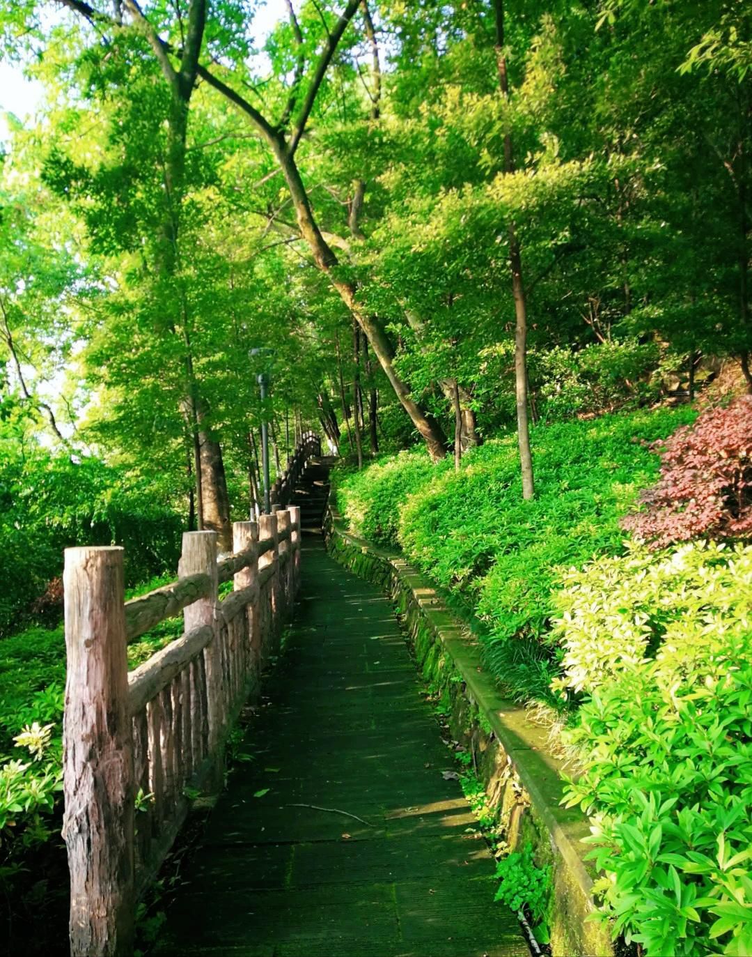 平顶山文化公园旅行图片 3