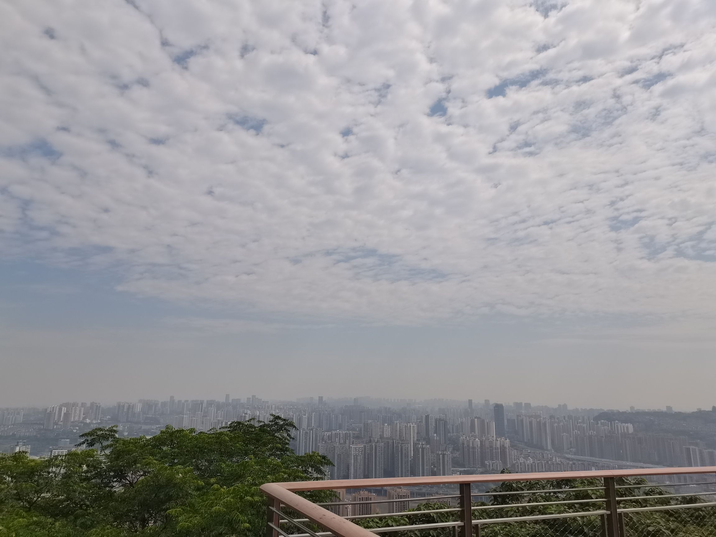 平顶山文化公园旅行图片 2