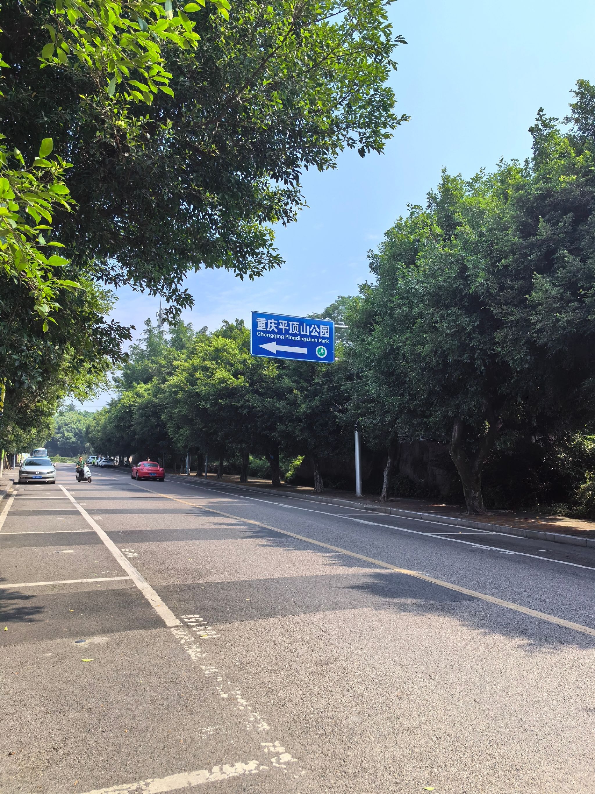 平顶山文化公园旅行图片 1