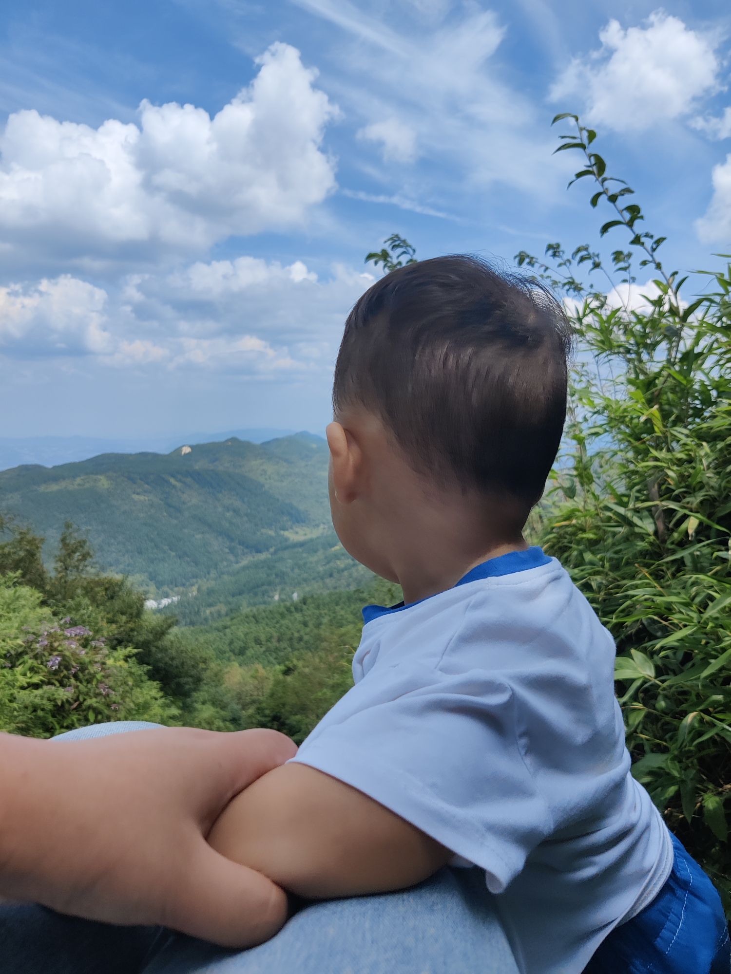 武陵山国家森林公园旅行图片 3