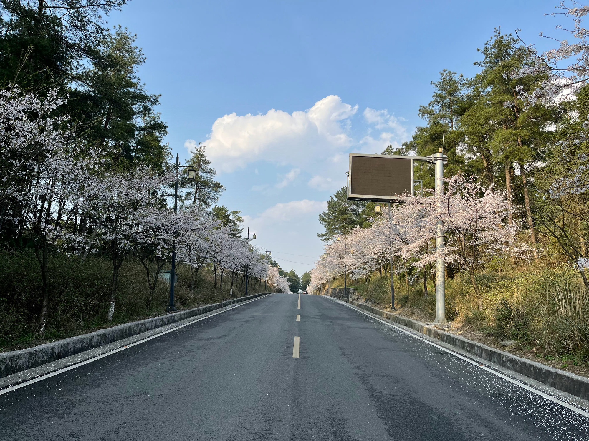 武陵山国家森林公园旅行图片 1