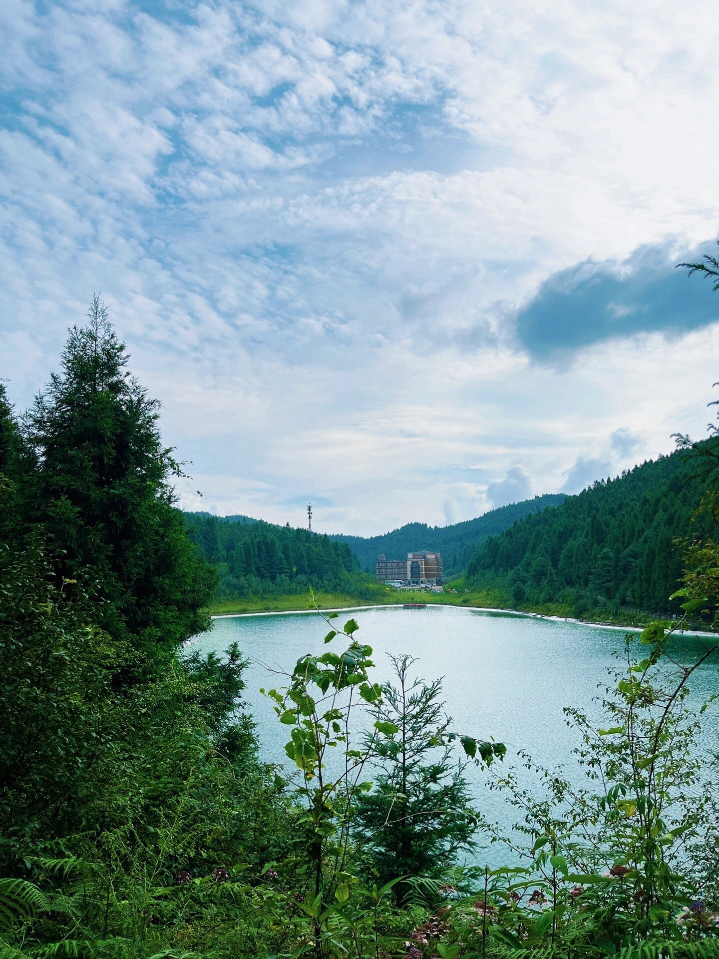 武陵山国家森林公园旅行图片 3