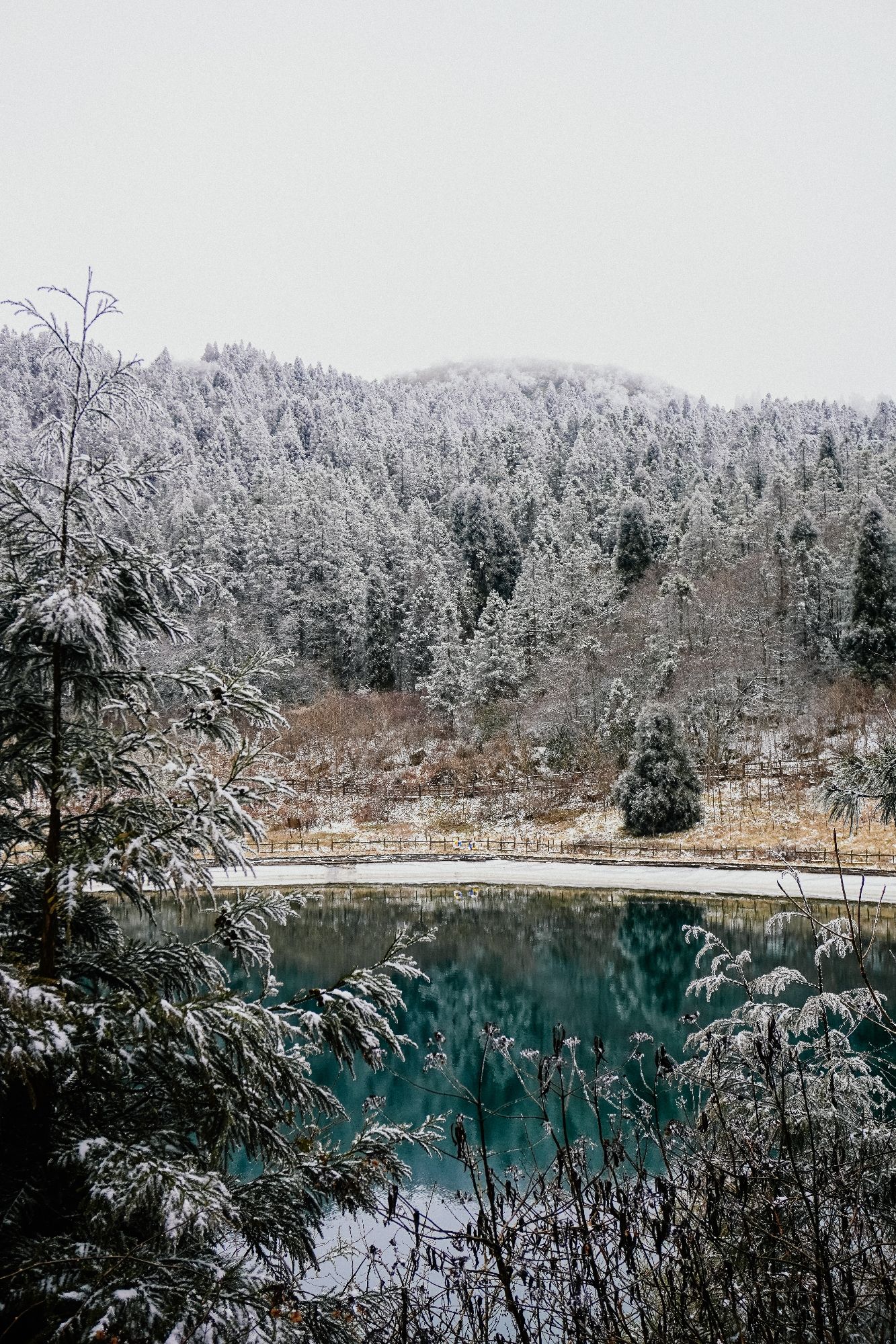 武陵山国家森林公园旅行图片 3