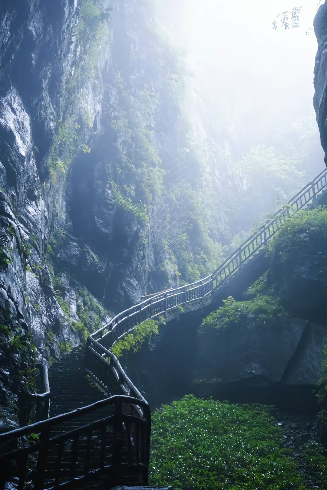 武陵山大裂谷景区旅行图片 3
