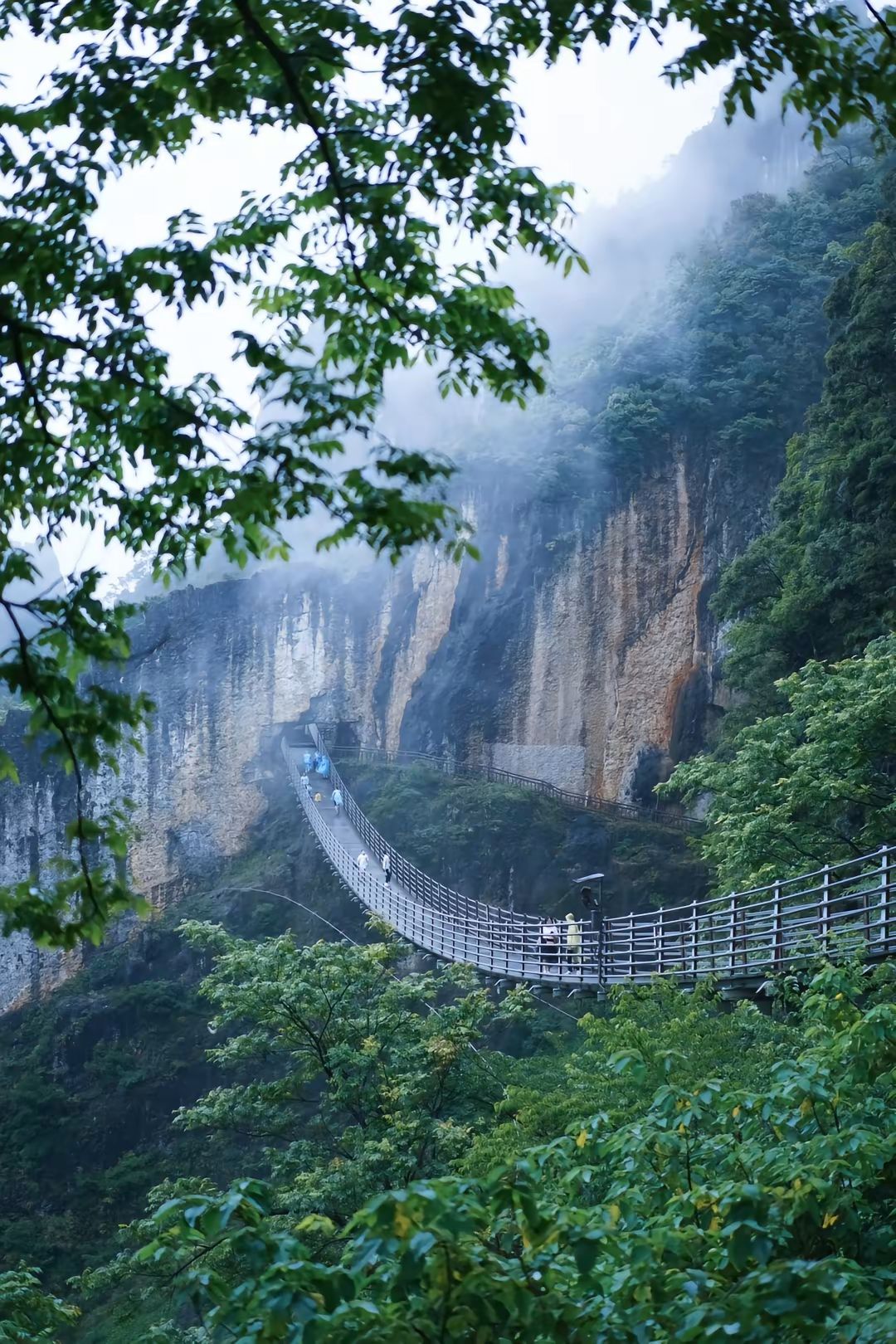 武陵山大裂谷景区旅行图片 1