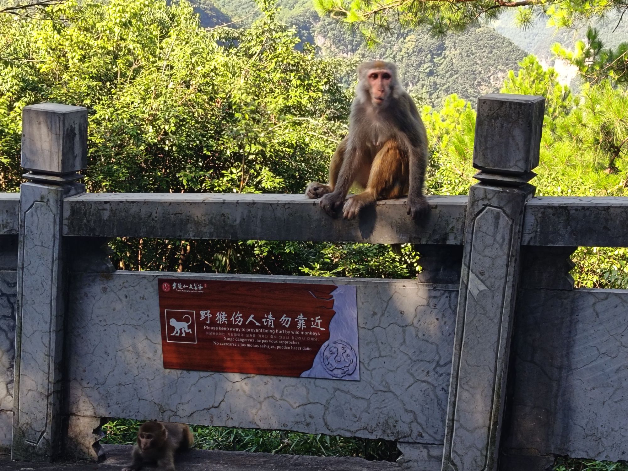 武陵山大裂谷景区旅行图片 3