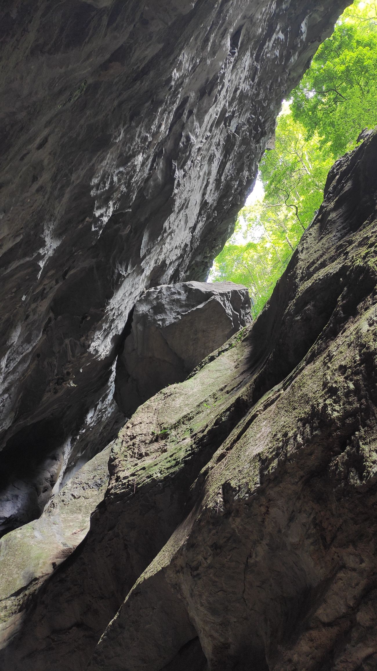 武陵山大裂谷景区旅行图片 2