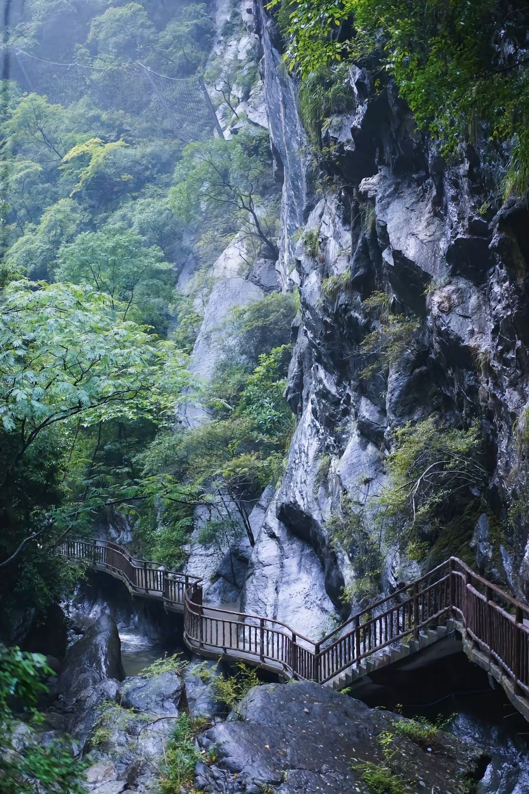 武陵山大裂谷景区旅行图片 2