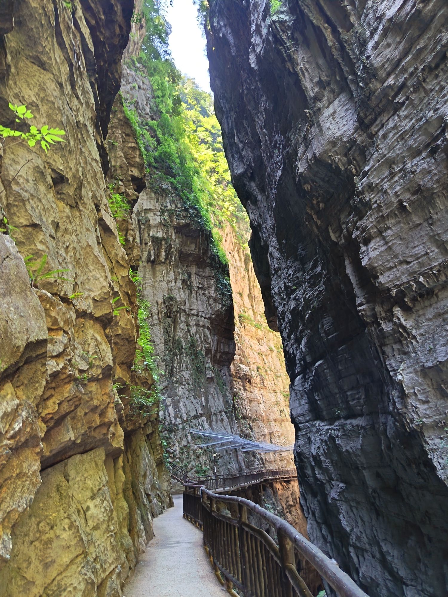 武陵山大裂谷景区旅行图片 1
