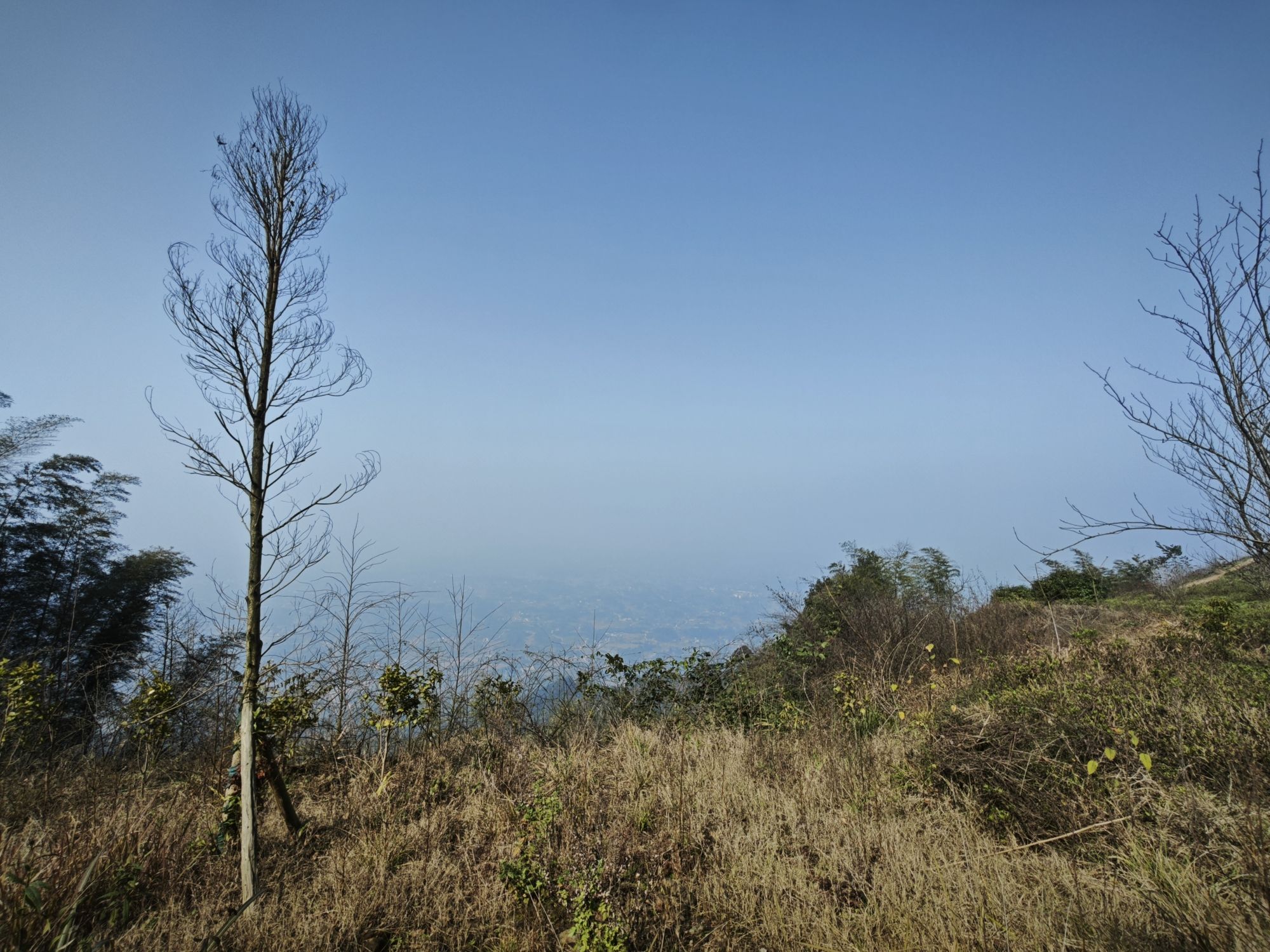 重庆茶山竹海国家森林公园旅行图片 2