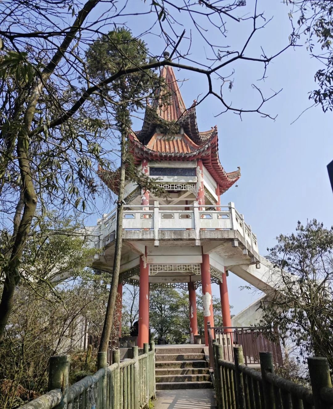 重庆茶山竹海国家森林公园旅行图片 2