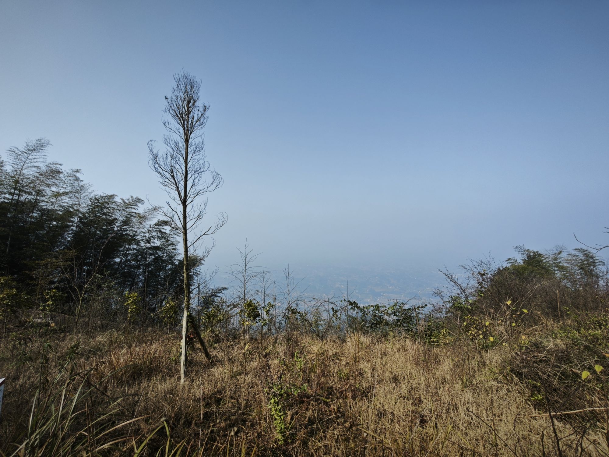 重庆茶山竹海国家森林公园旅行图片 1