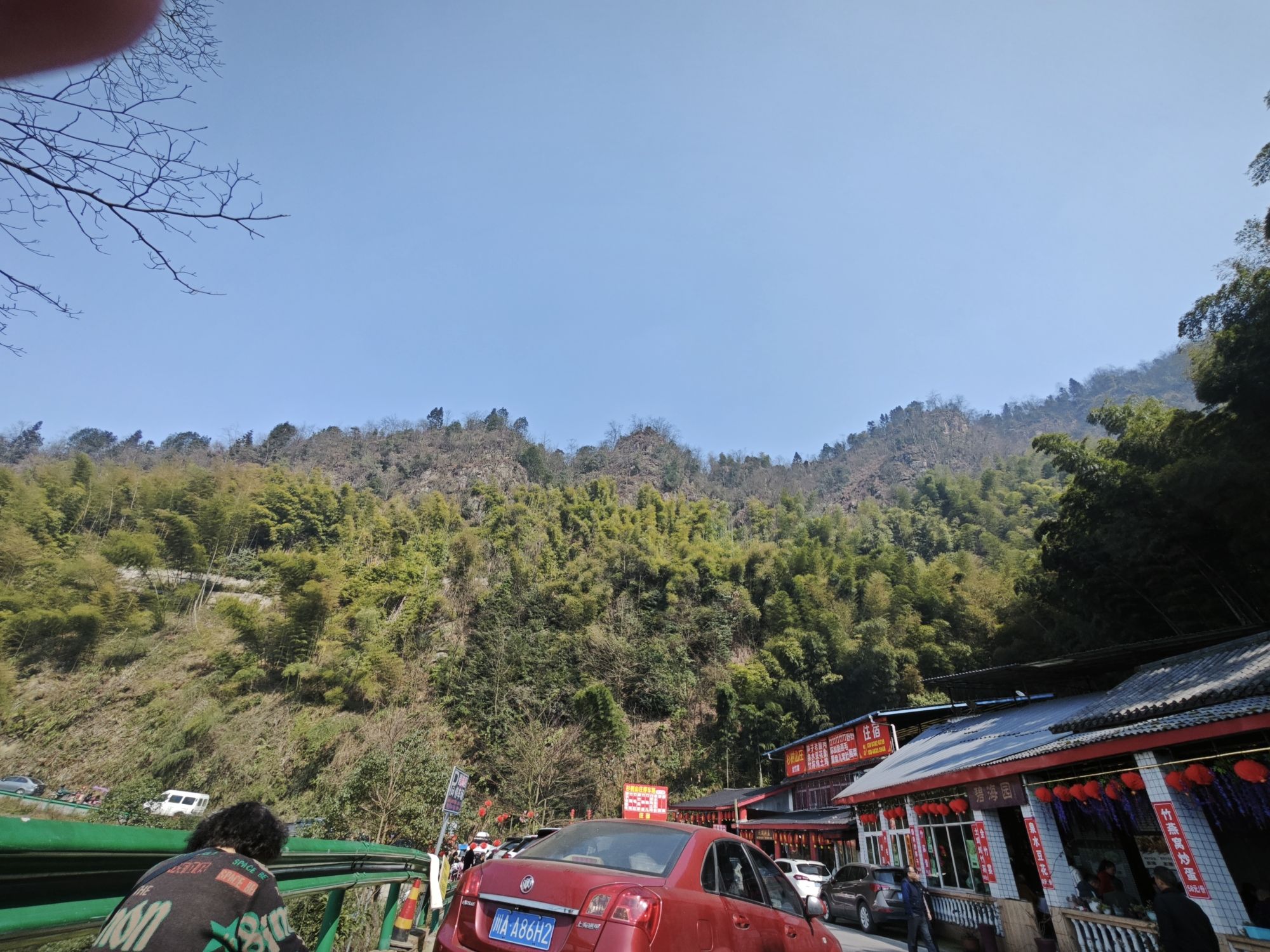 重庆茶山竹海国家森林公园旅行图片 3