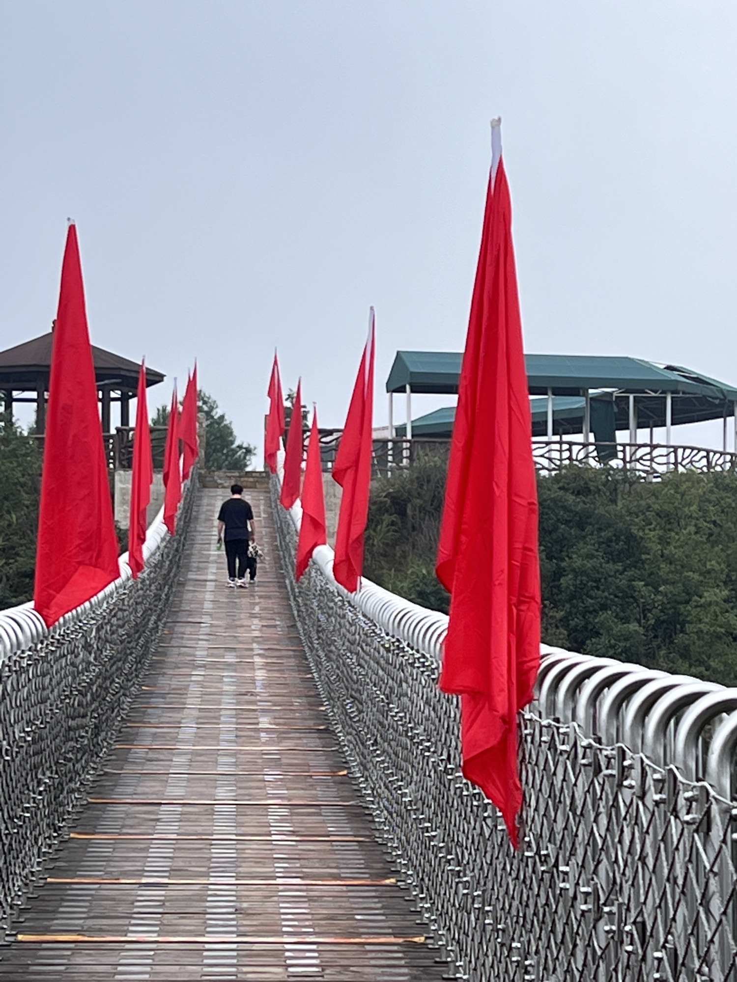 重庆茶山竹海国家森林公园旅行图片 3