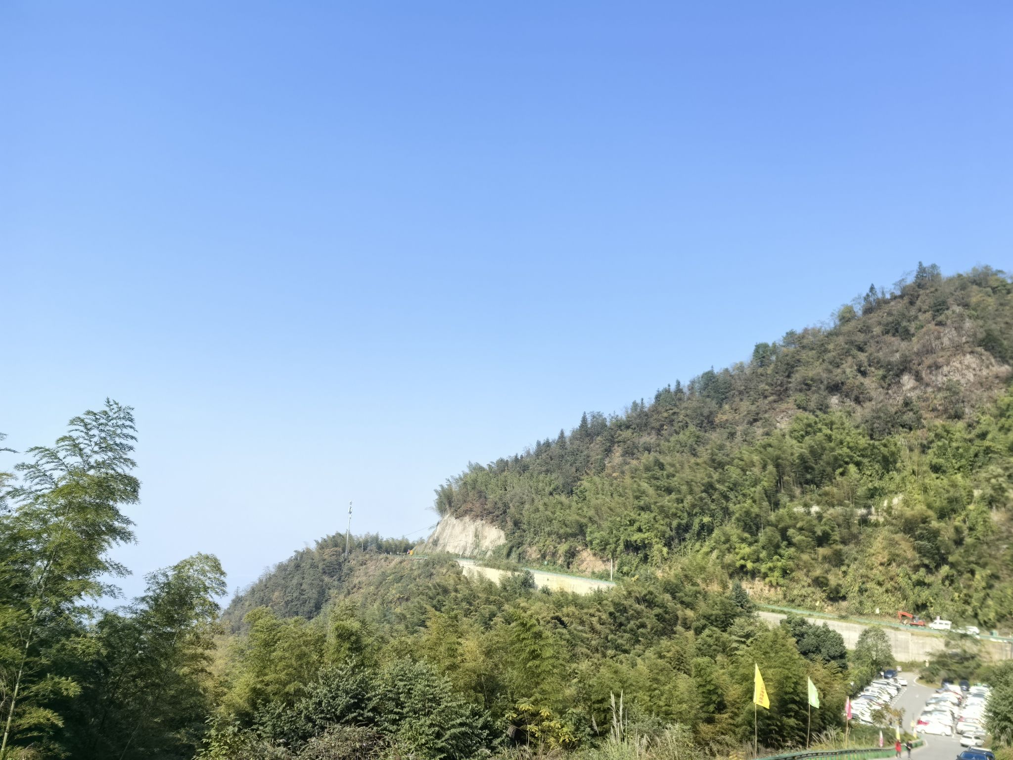 重庆茶山竹海国家森林公园旅行图片 3