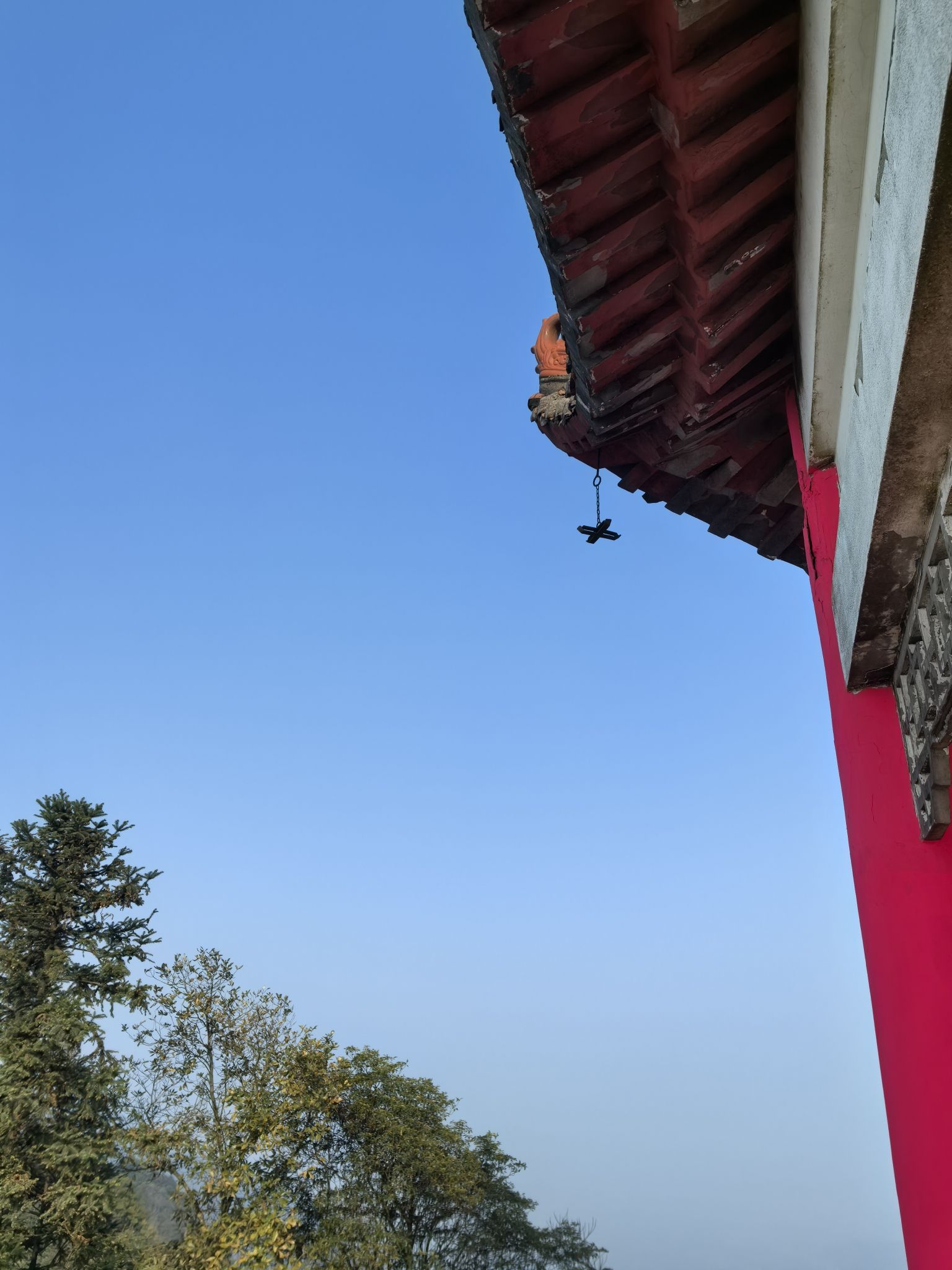 重庆茶山竹海国家森林公园旅行图片 2