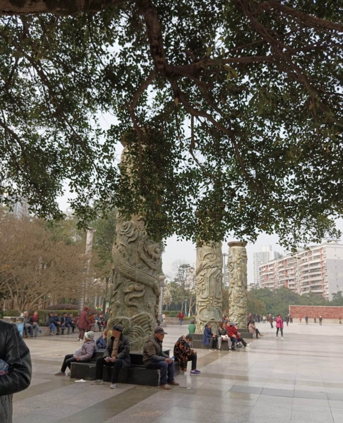 巴南人民广场旅行图片 3