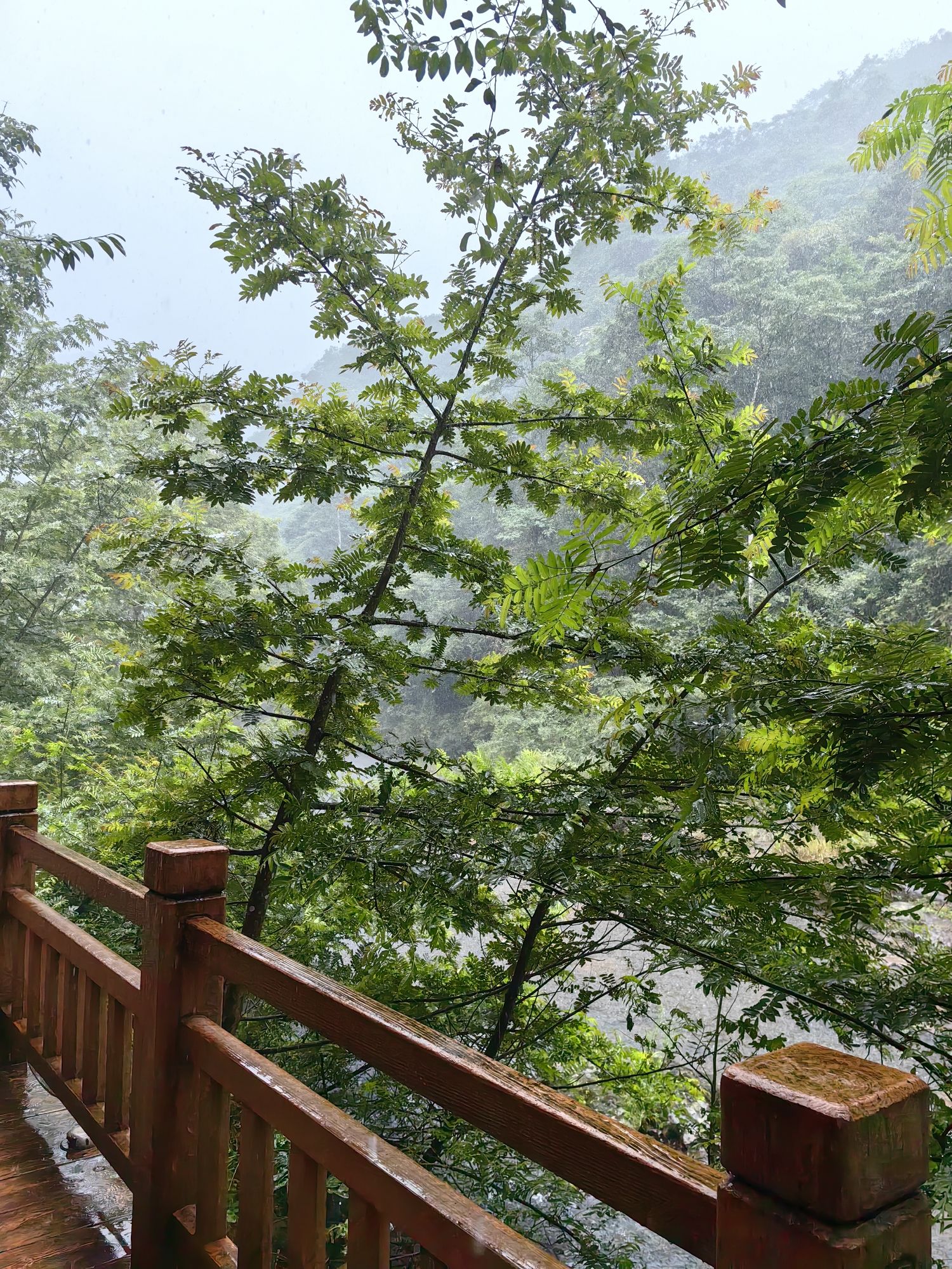 四面山景区旅行图片 3