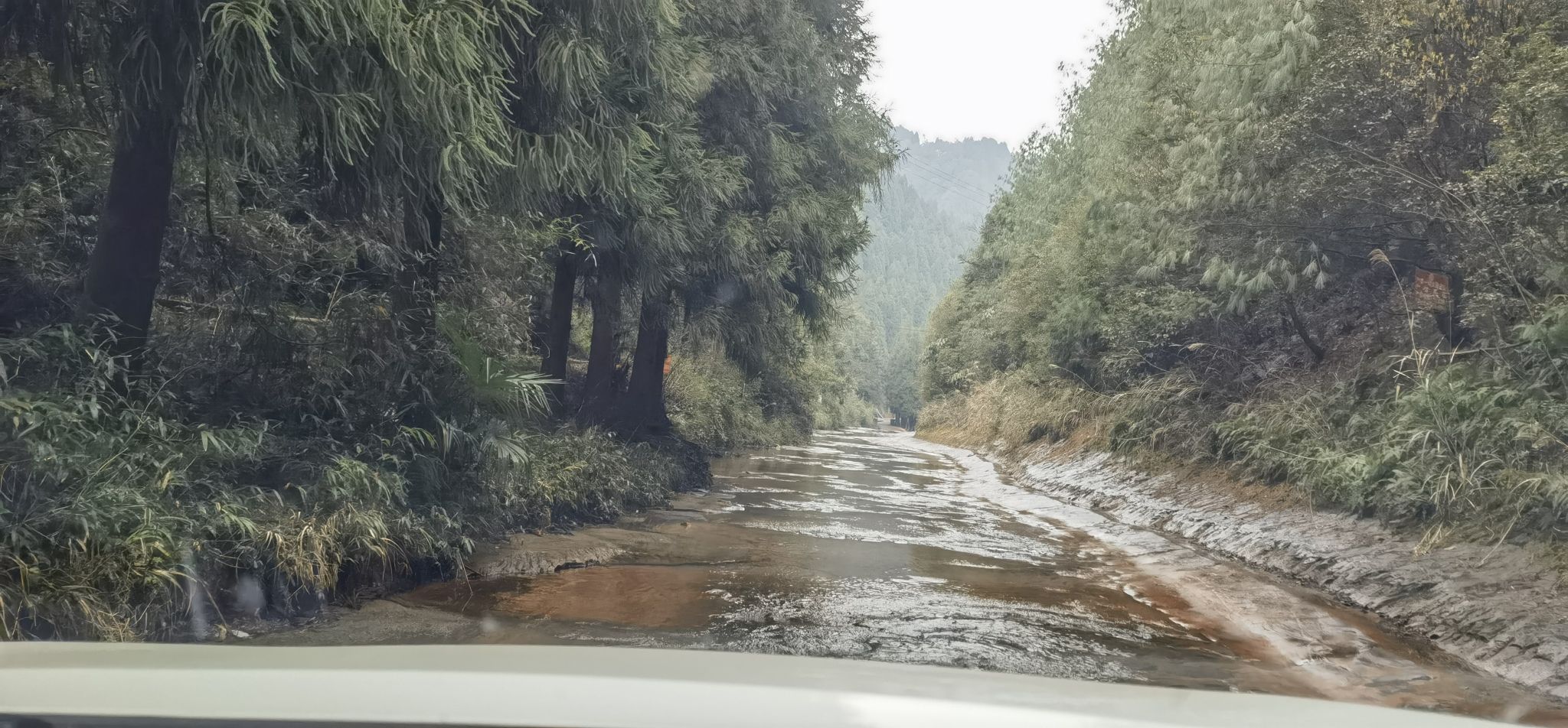 四面山景区旅行图片 1