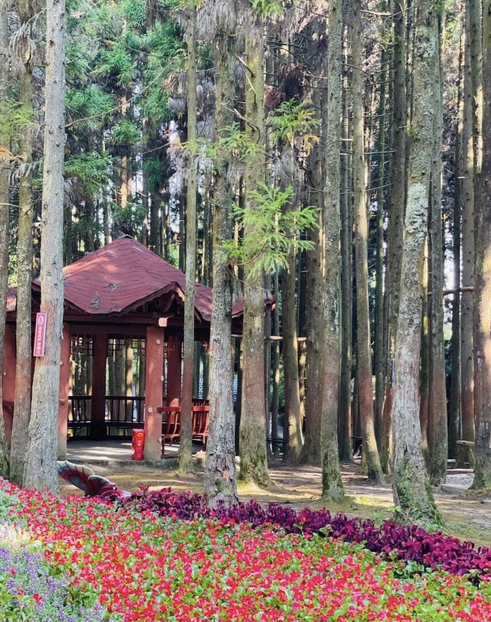 黄水旅游度假区旅行图片 3