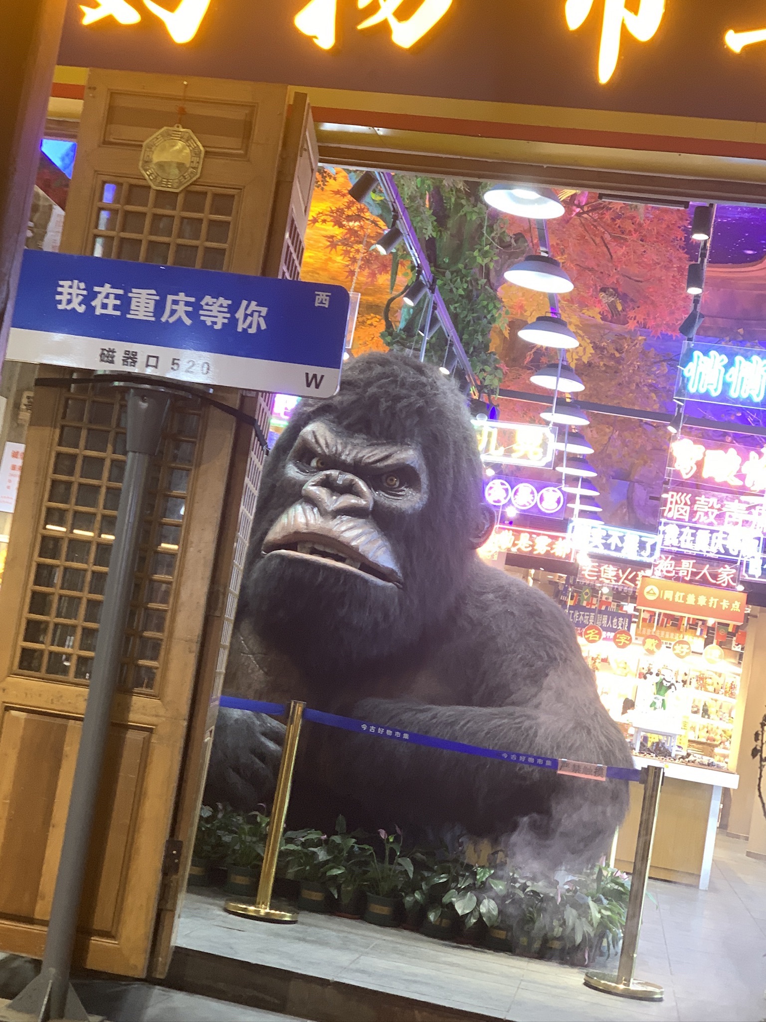 磁器口古镇旅行图片 1