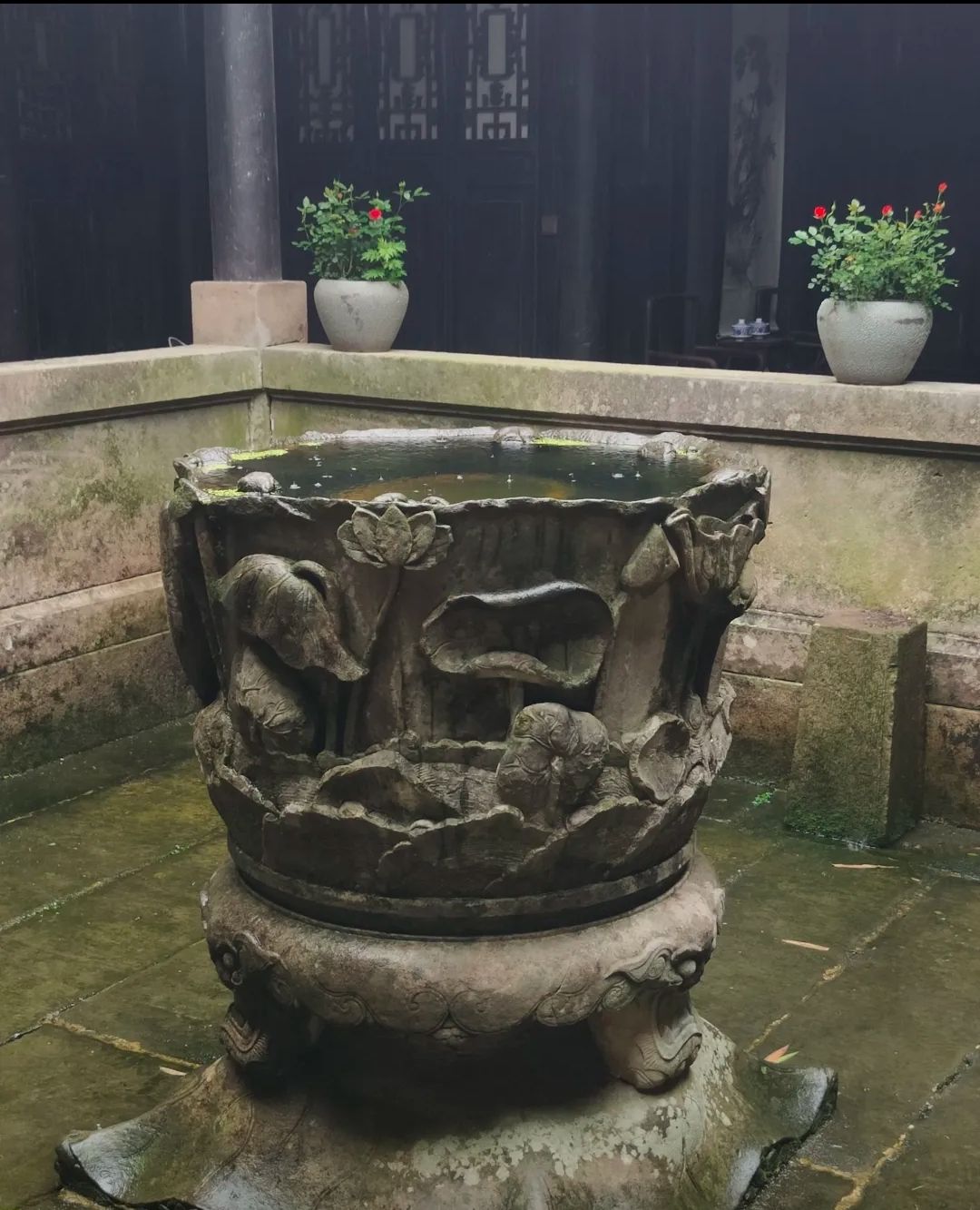 陈万宝庄园景区旅行图片 3