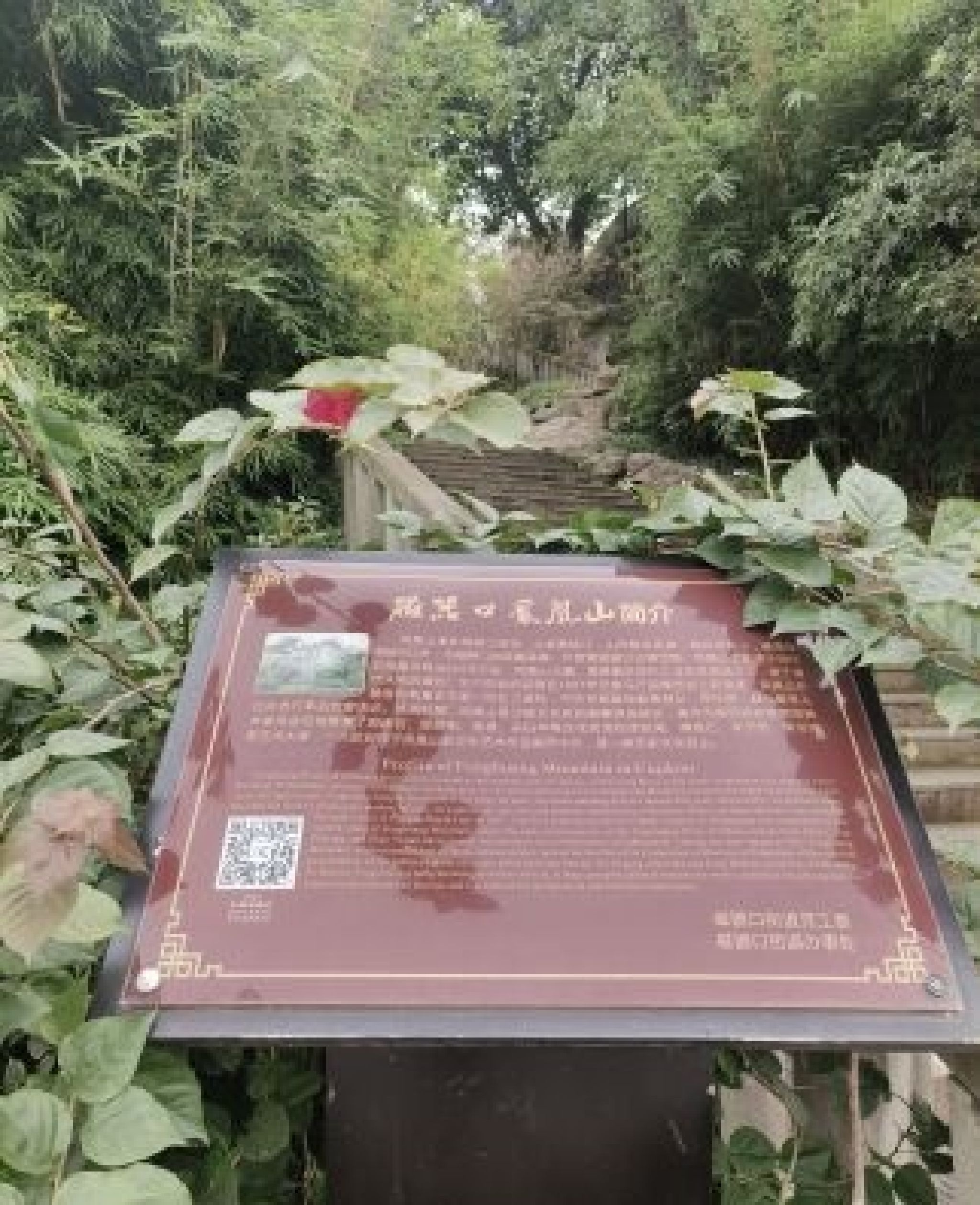 凤凰山公园旅行图片 1