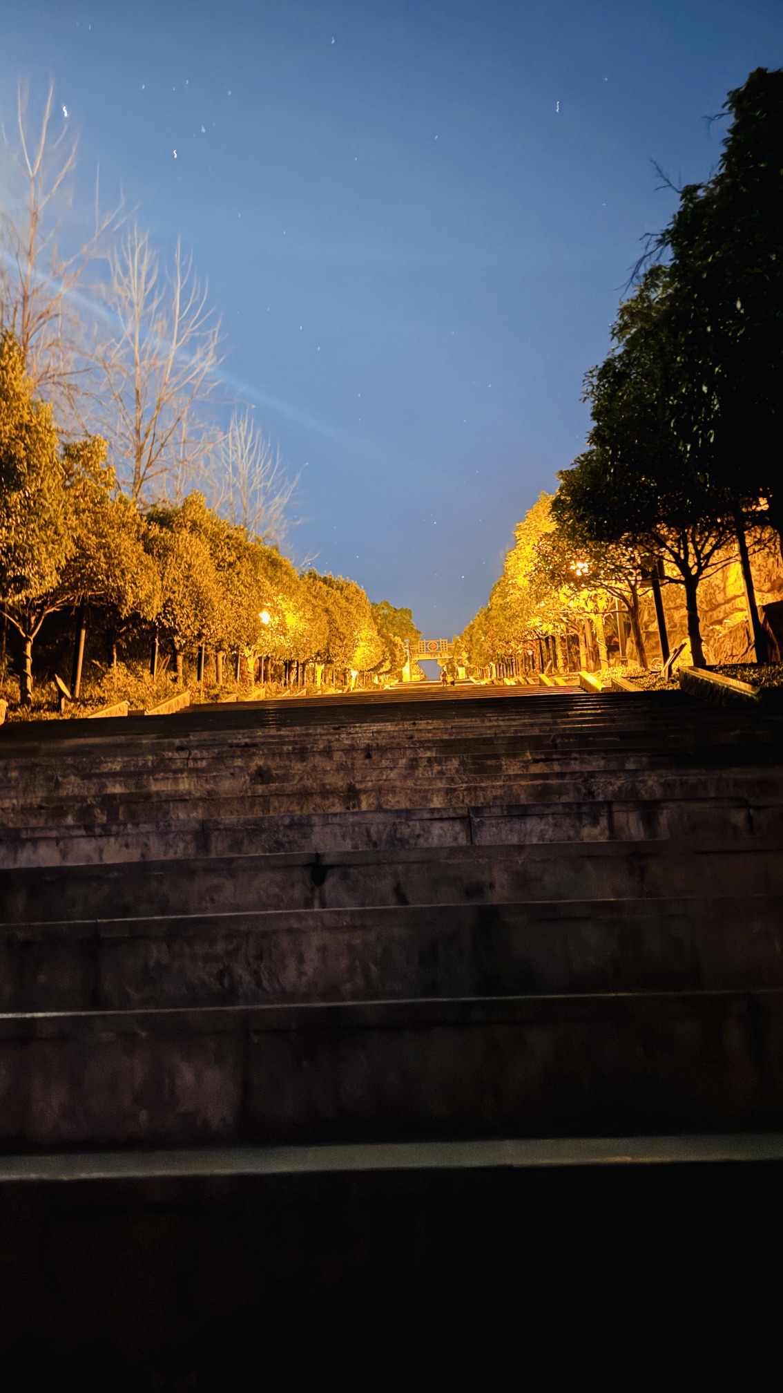 凤凰山公园旅行图片 2