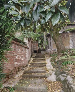 凤凰山公园旅行图片 2
