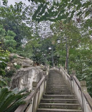 凤凰山公园旅行图片 3