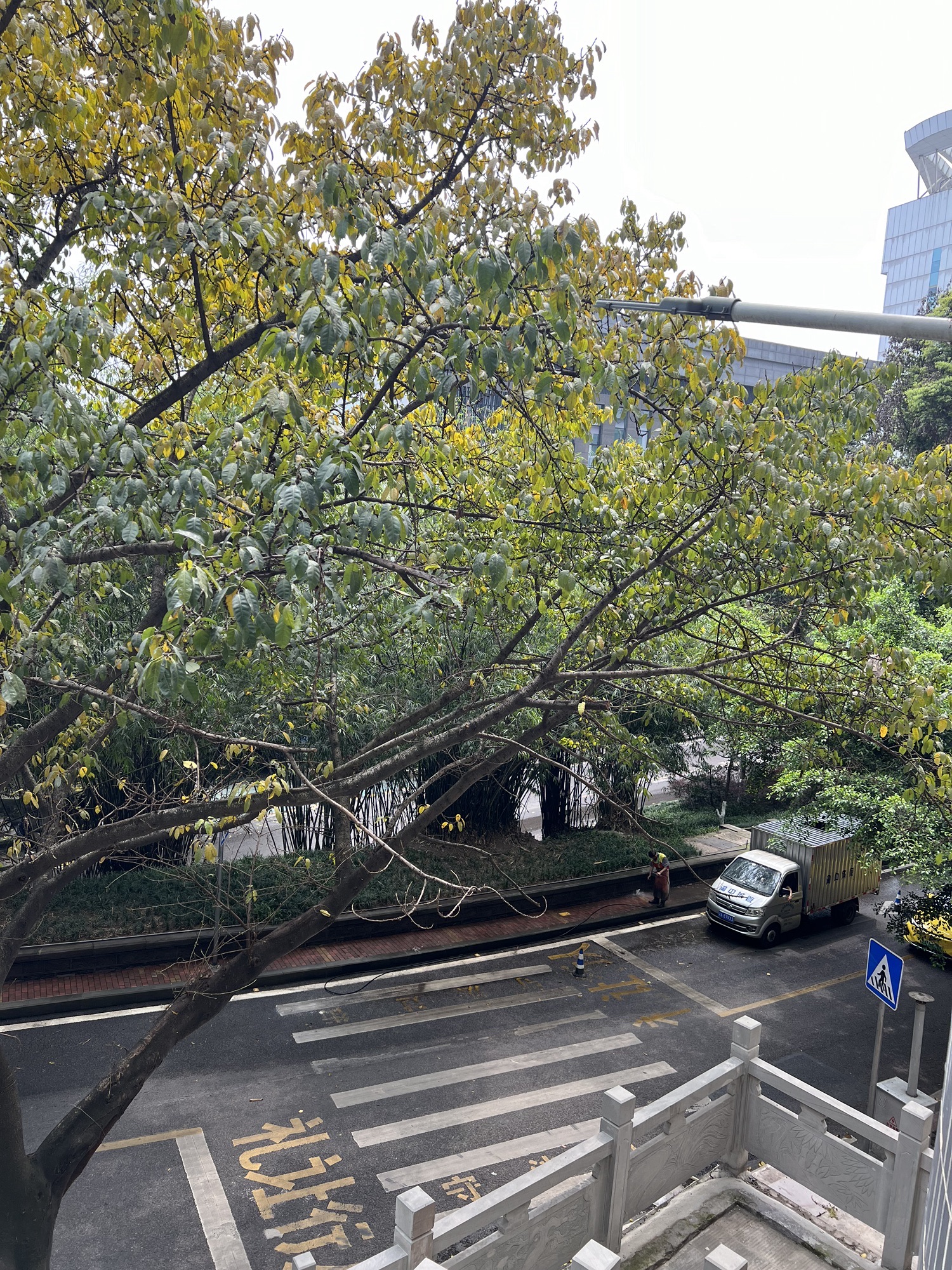 邹容公园旅行图片 2