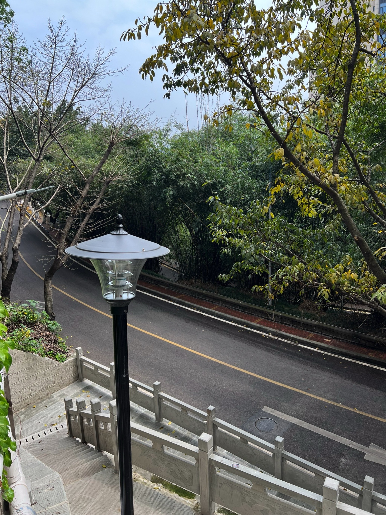 邹容公园旅行图片 1