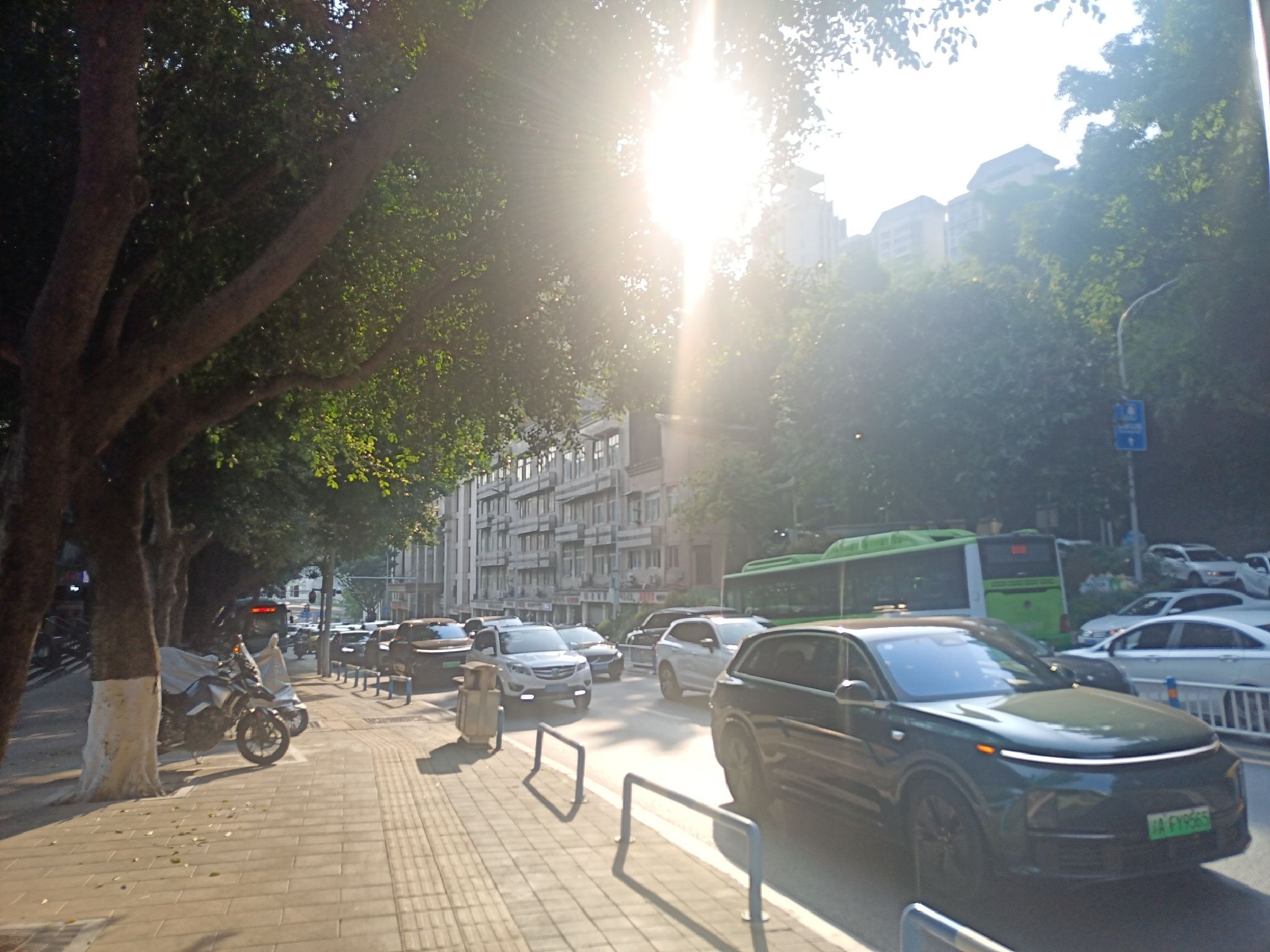 邹容公园旅行图片 3