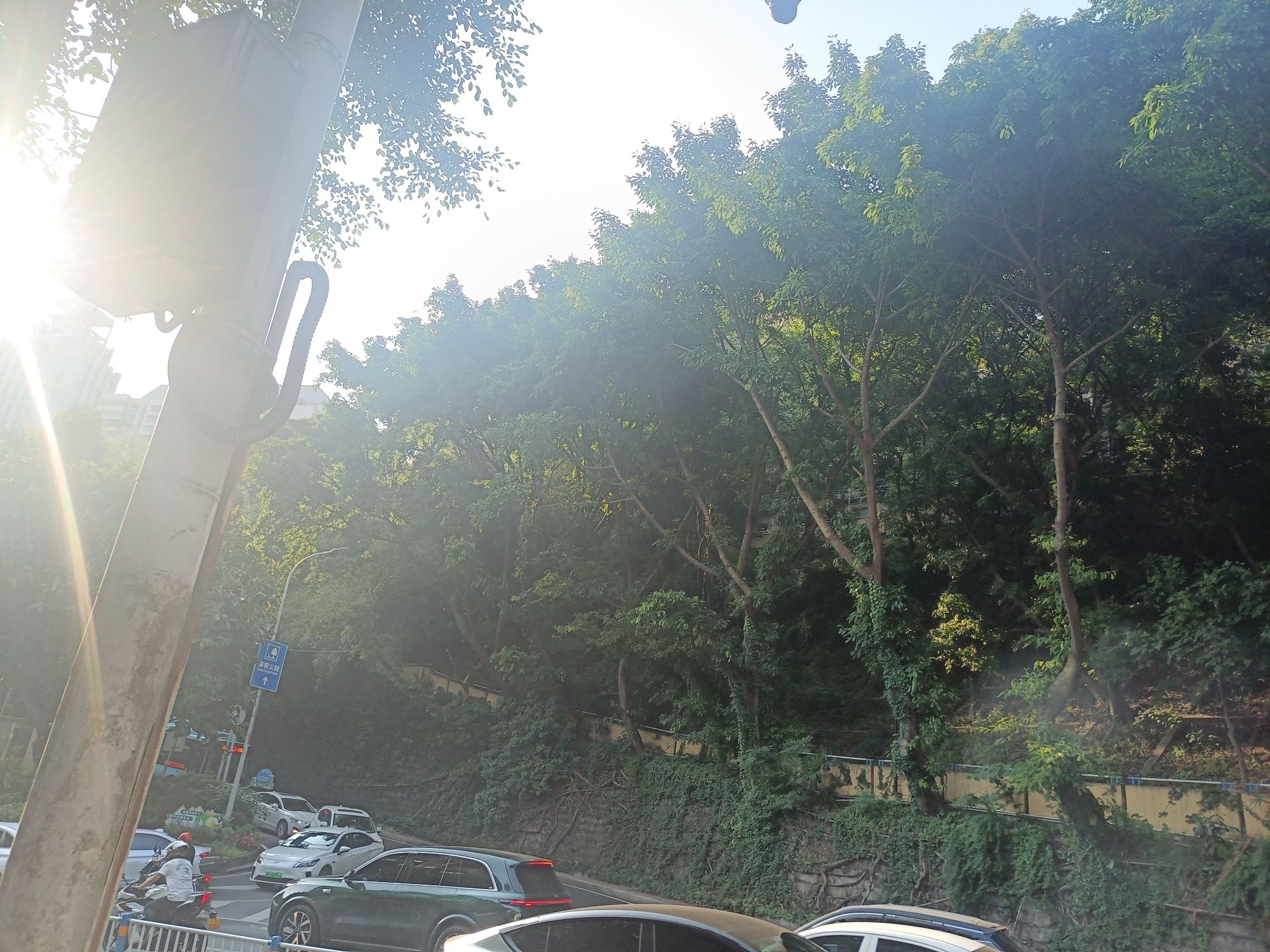 邹容公园旅行图片 2