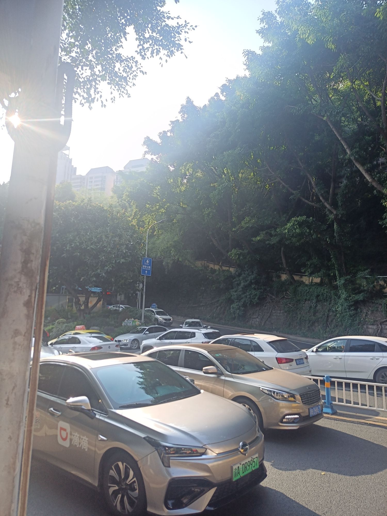 邹容公园旅行图片 1