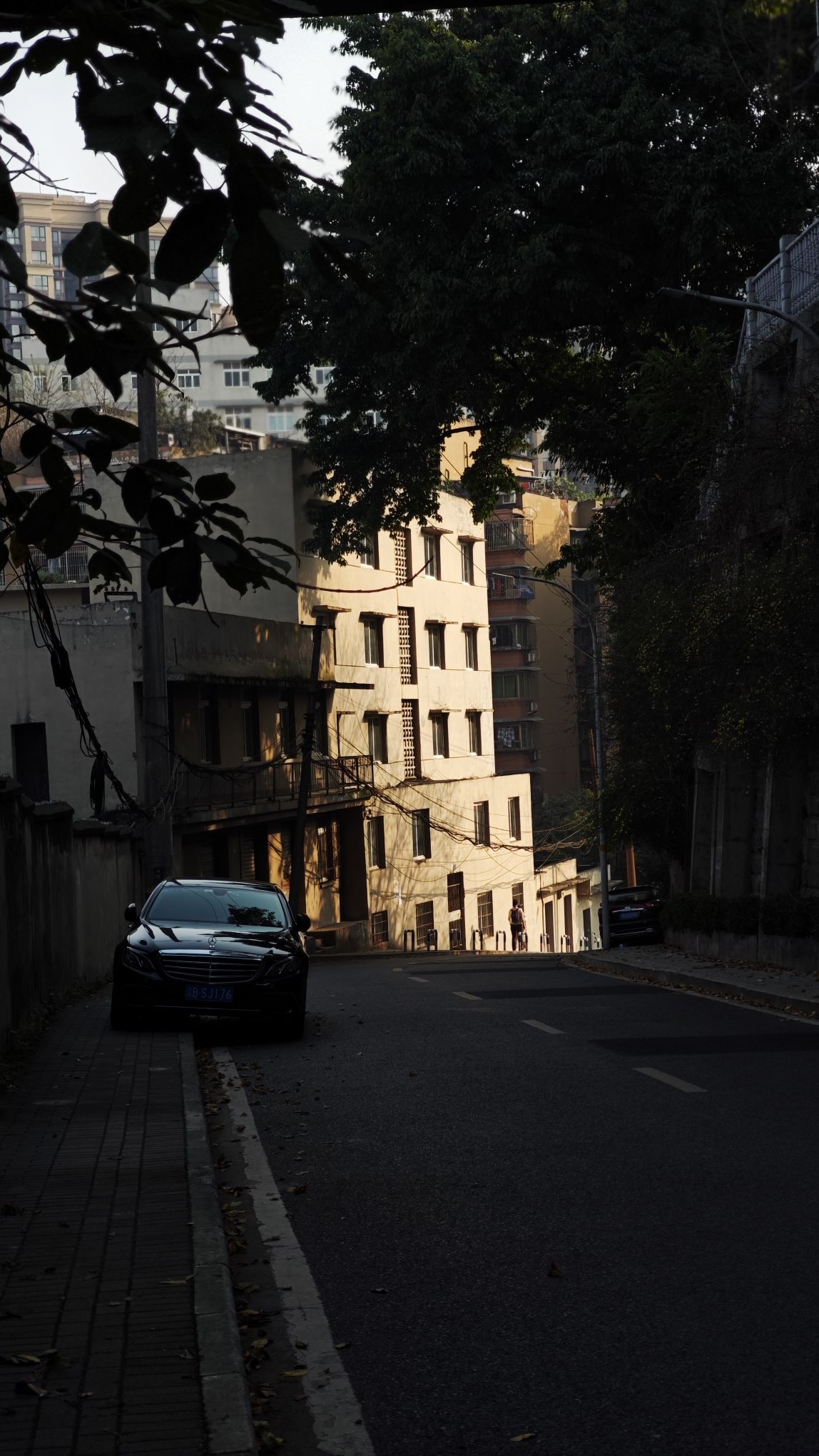 佛图关公园旅行图片 2