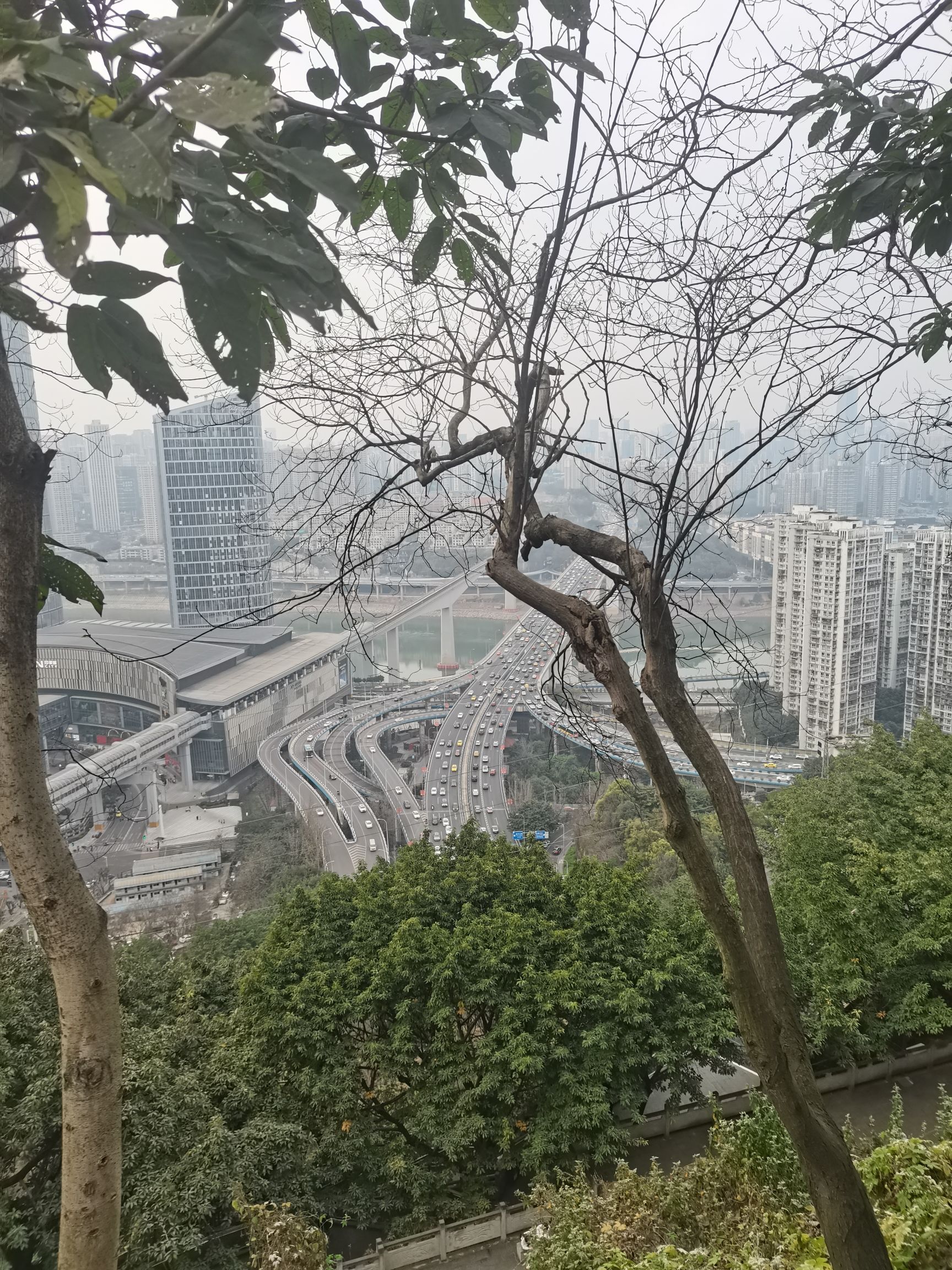 佛图关公园旅行图片 1