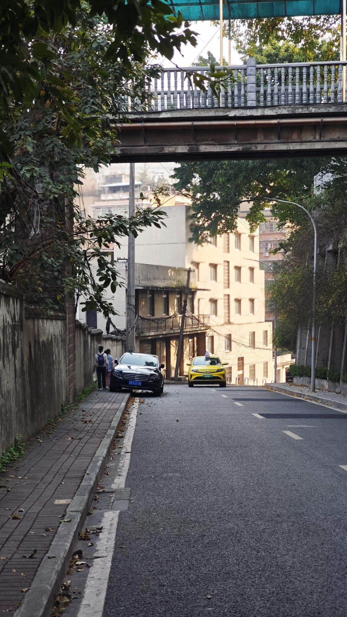 佛图关公园旅行图片 1