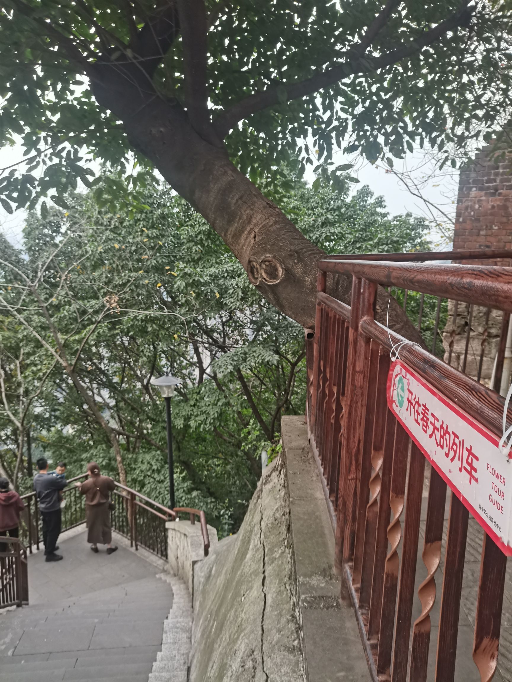 佛图关公园旅行图片 2
