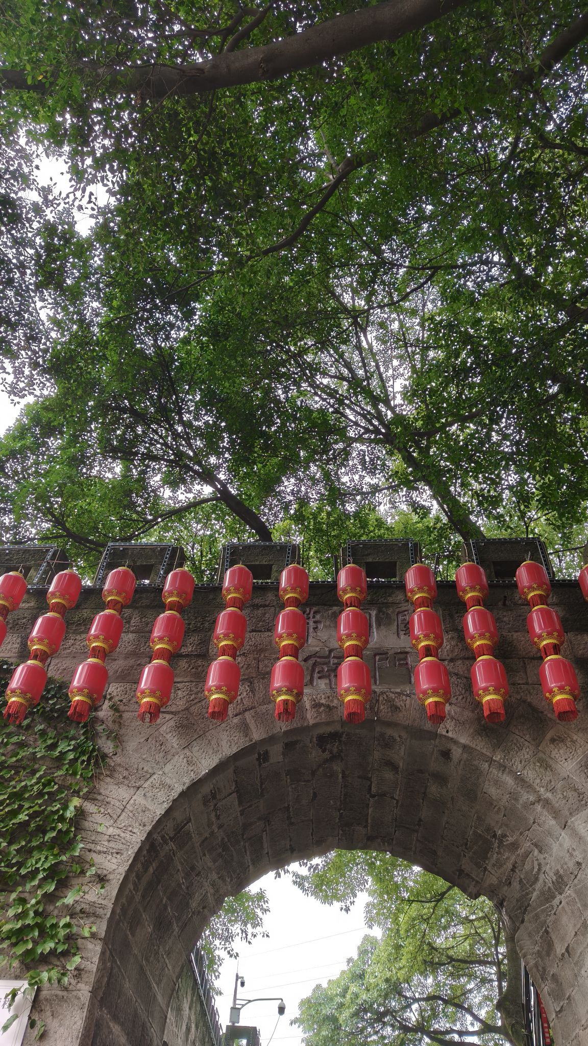 佛图关公园旅行图片 3