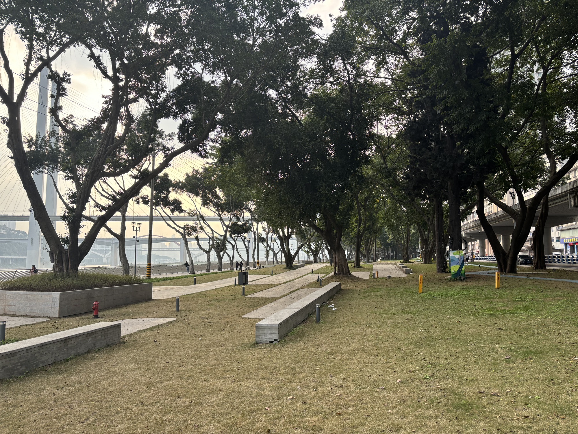 重庆滨江公园旅行图片 1